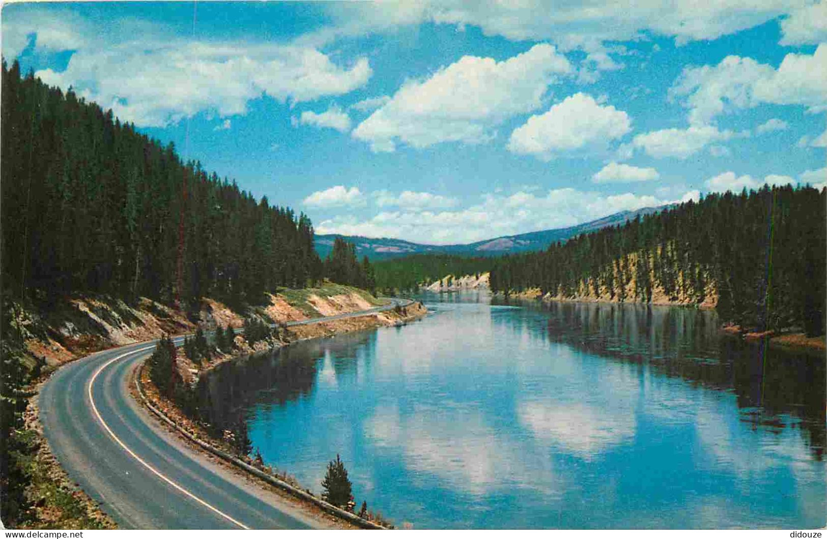 Carte Postale - Etats-Unis - Yellowstone national park - Yellowstone river - largest and most scenic of the many magnifi