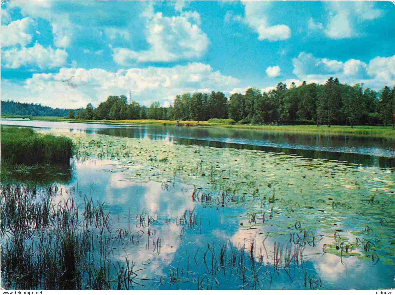 Carte Postale - Finlande - CPM - Voir Scans Recto-Verso