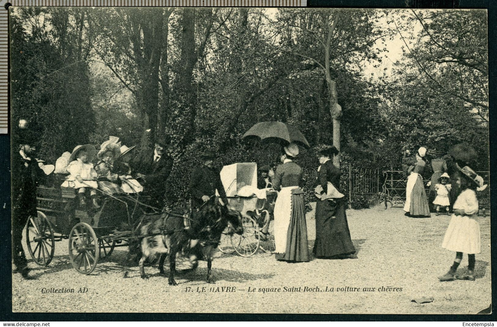 Carte Postale - France - Le Havre - Le Square Saint Roch - La Voiture aux Chèvres (CP27707)