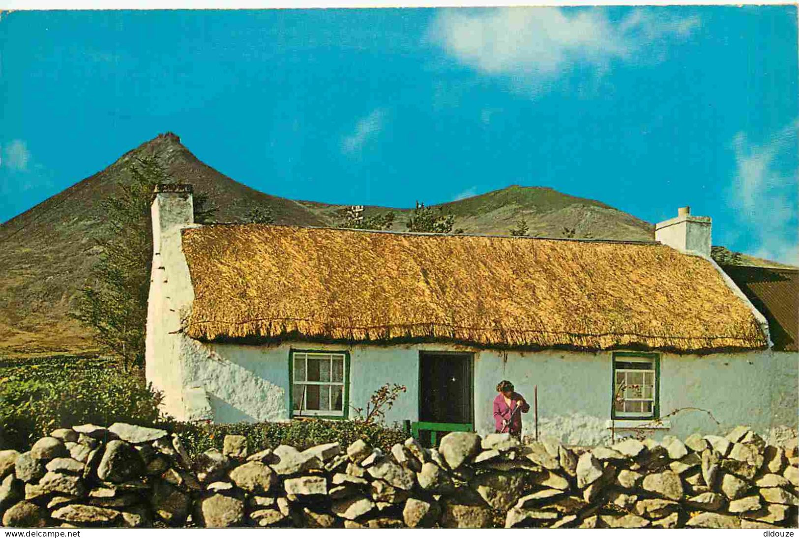 Carte Postale - Irlande du Nord - Down - Mourne Mountains - Northern Ireland - Irlanda del Norte - CPSM format CPA - Voi