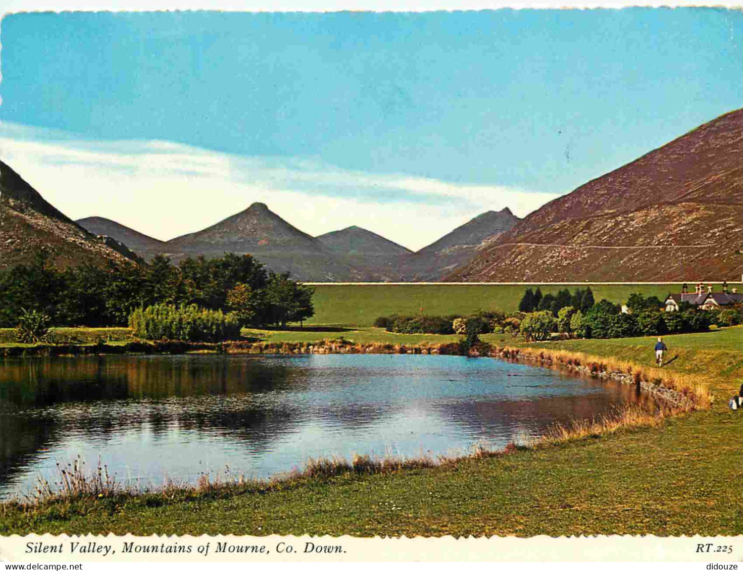 Carte Postale - Irlande du Nord - Down - Silent Valley - Mountains of Mourne - CPM - Voir Scans Recto-Verso - Poscard -