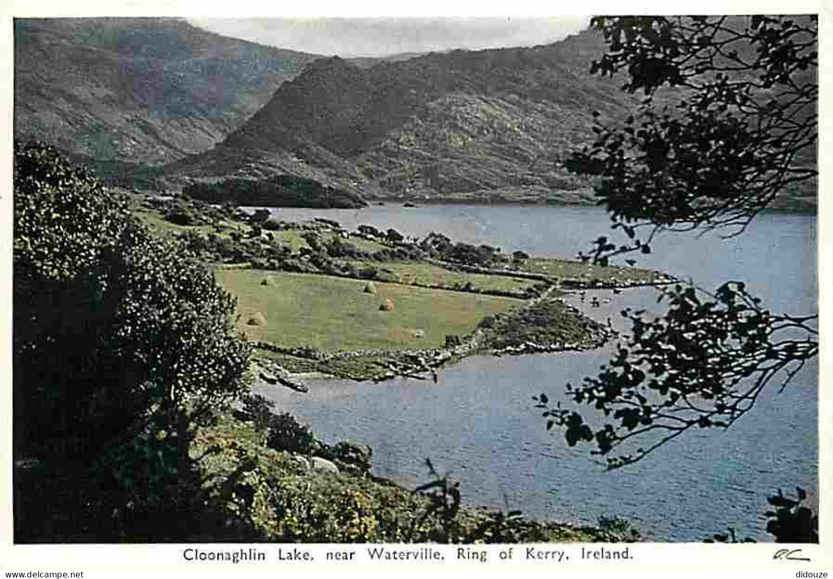 Carte Postale - Irlande - Kerry - Cloonaghlin Lake , near Waterville , Ring of Kerry - Carte Neuve - Ireland - CPM - Voi