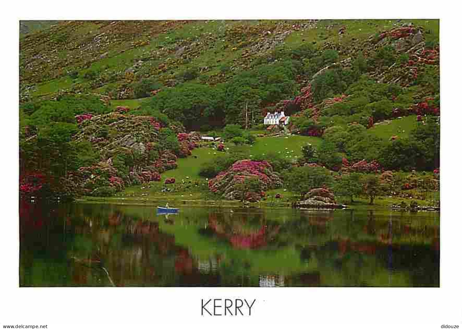 Carte Postale - Irlande - Kerry - Kerry is a county of outstanding beauty - Carte Neuve - Ireland - CPM - Voir Scans Rec