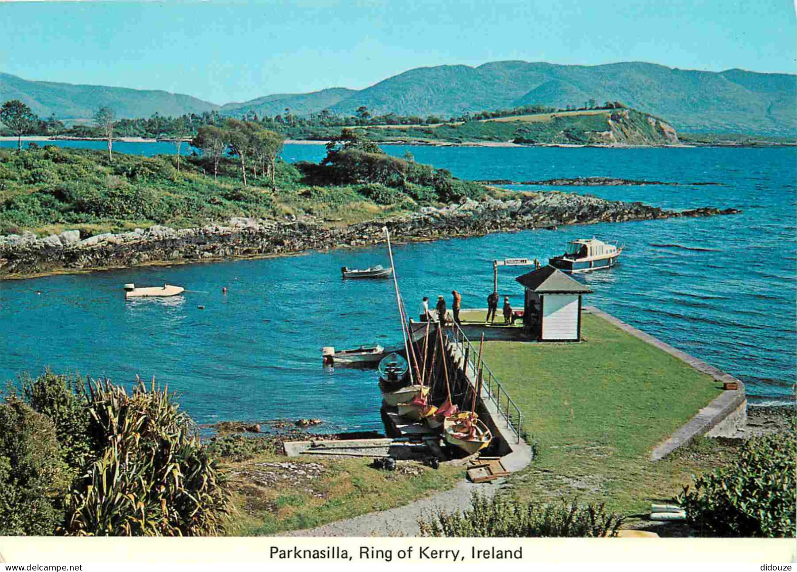 Carte Postale - Irlande - Kerry - Ring of Kerry - Parknasilla - Ireland - Irlanda - CPM - Voir Scans Recto-Verso - Posca