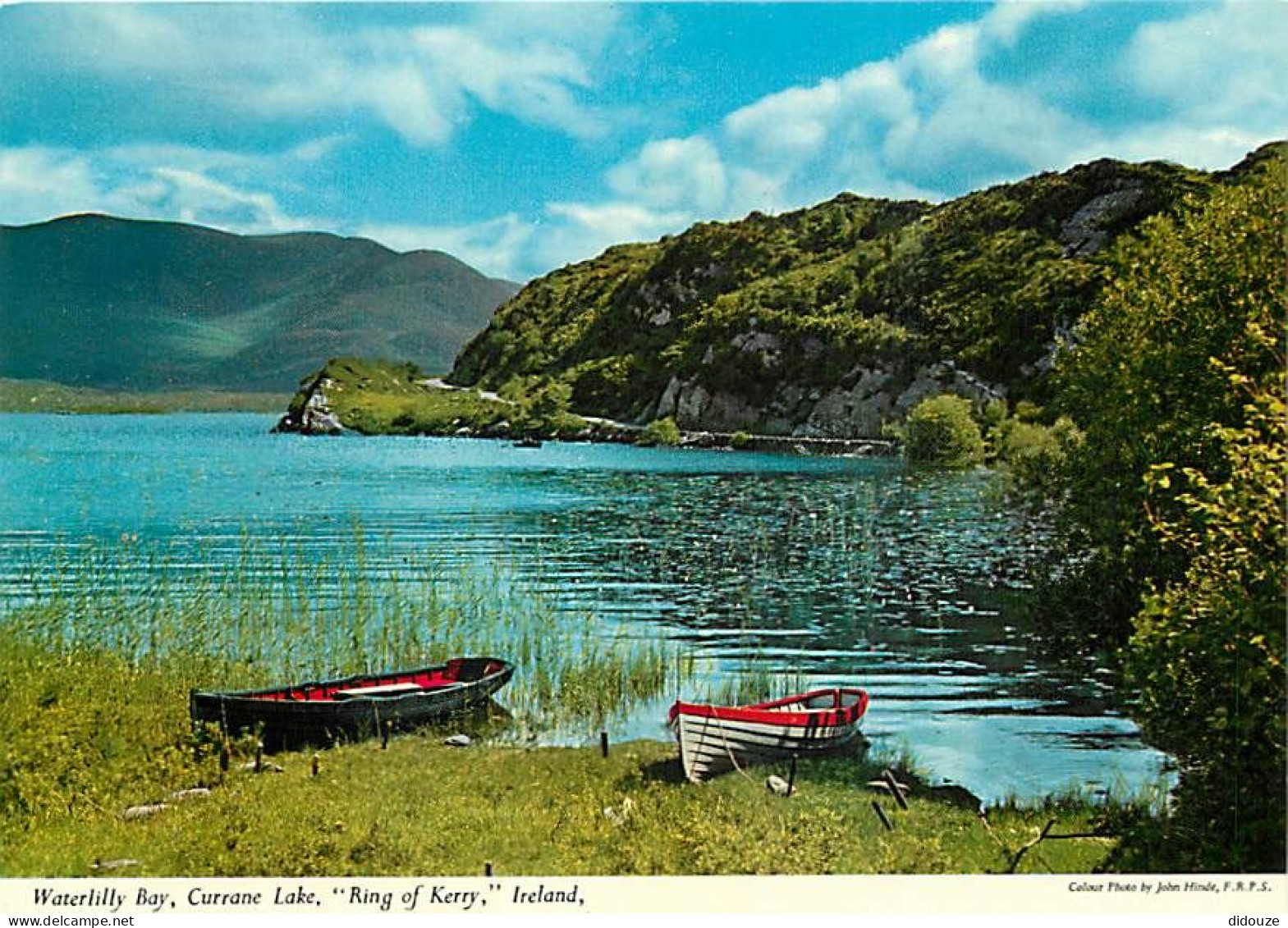 Carte Postale - Irlande - Kerry - Ring of Kerry - Waterlilly Bay, Currane Lake - Carte Neuve - Ireland - CPM - Voir Scan