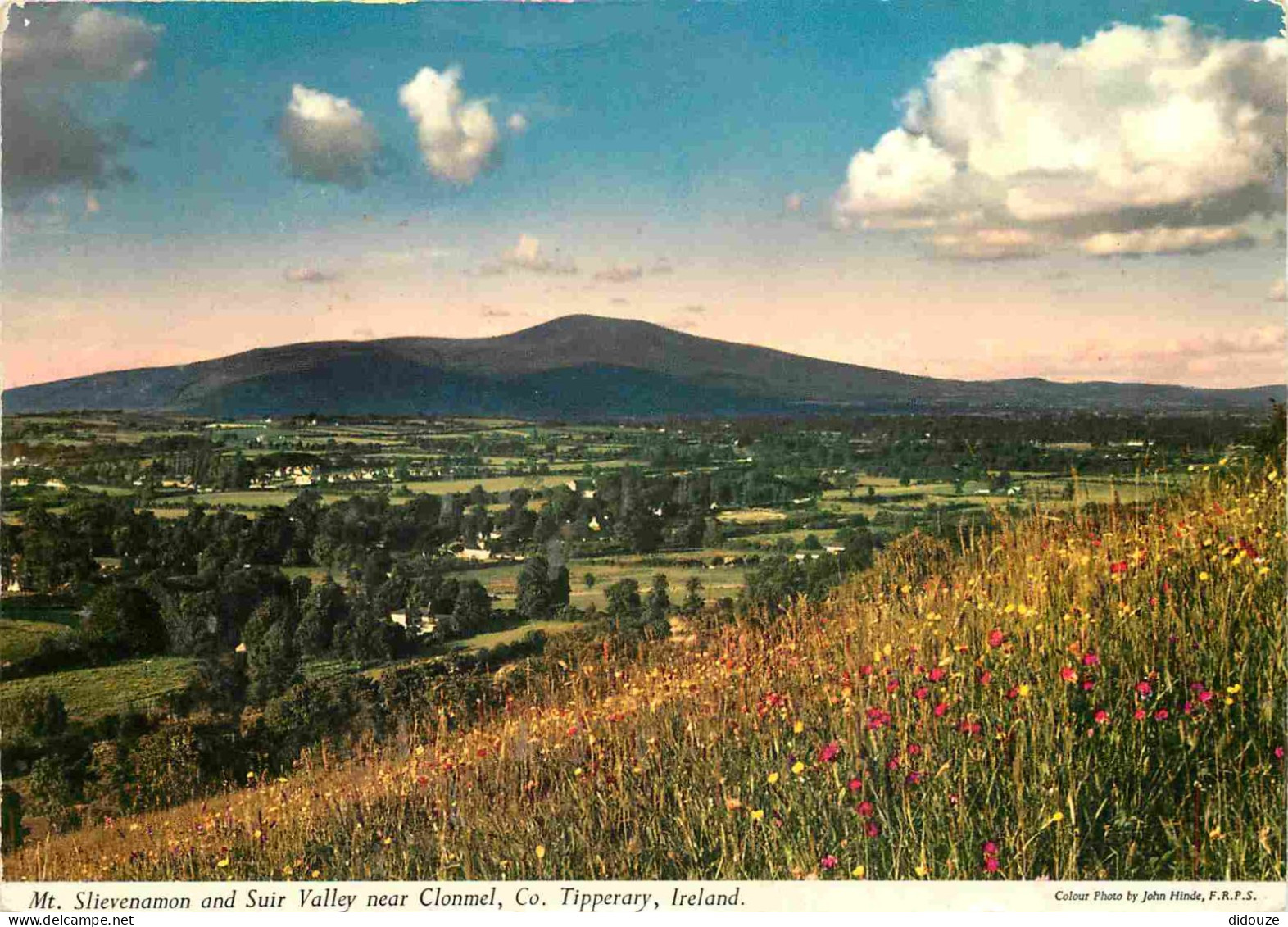 Carte Postale - Irlande - Tipperary - Mt Slievenamon and Suir Valley near Clonmel - CPM - Voir Scans Recto-Verso - Posca