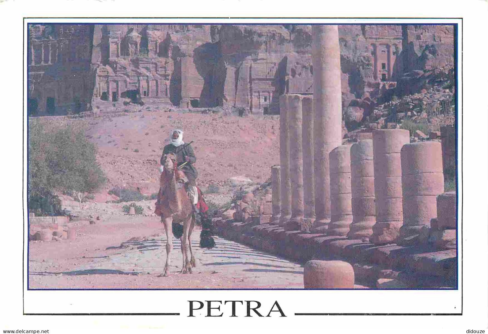 Carte Postale - Jordanie - Pétra - Chameau - CPM - Carte Neuve - Voir Scans Recto-Verso - Poscard - Carta Postal -  Post