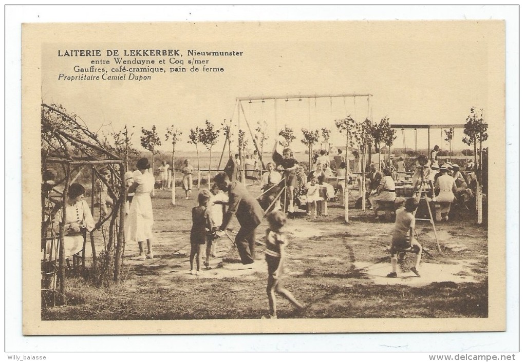 Carte Postale - Laiterie de LEKKERBEK - NIEUWMUNSTER - Entre Wenduyne et Coq sur mer - N2 - CPA  //