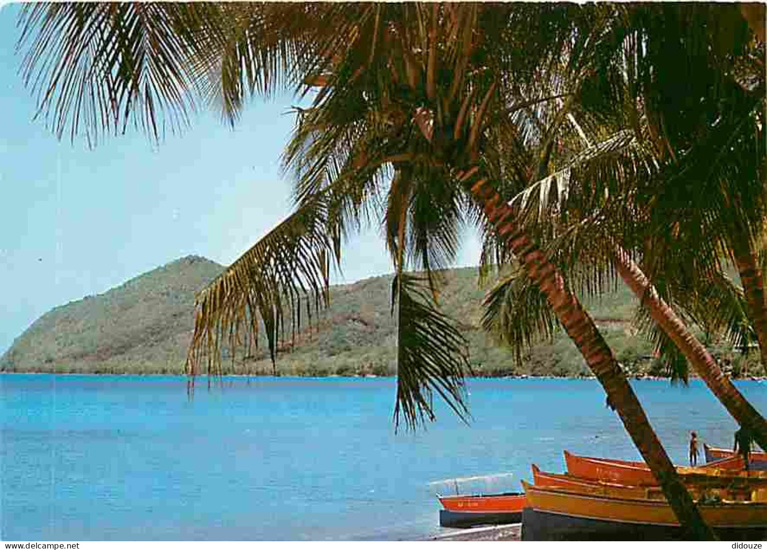 Carte Postale - Martinique - Anse d'Arlet - Le Cap Salomon vu de la Grande Anse - CPM - Voir Scans Recto-Verso - Poscard