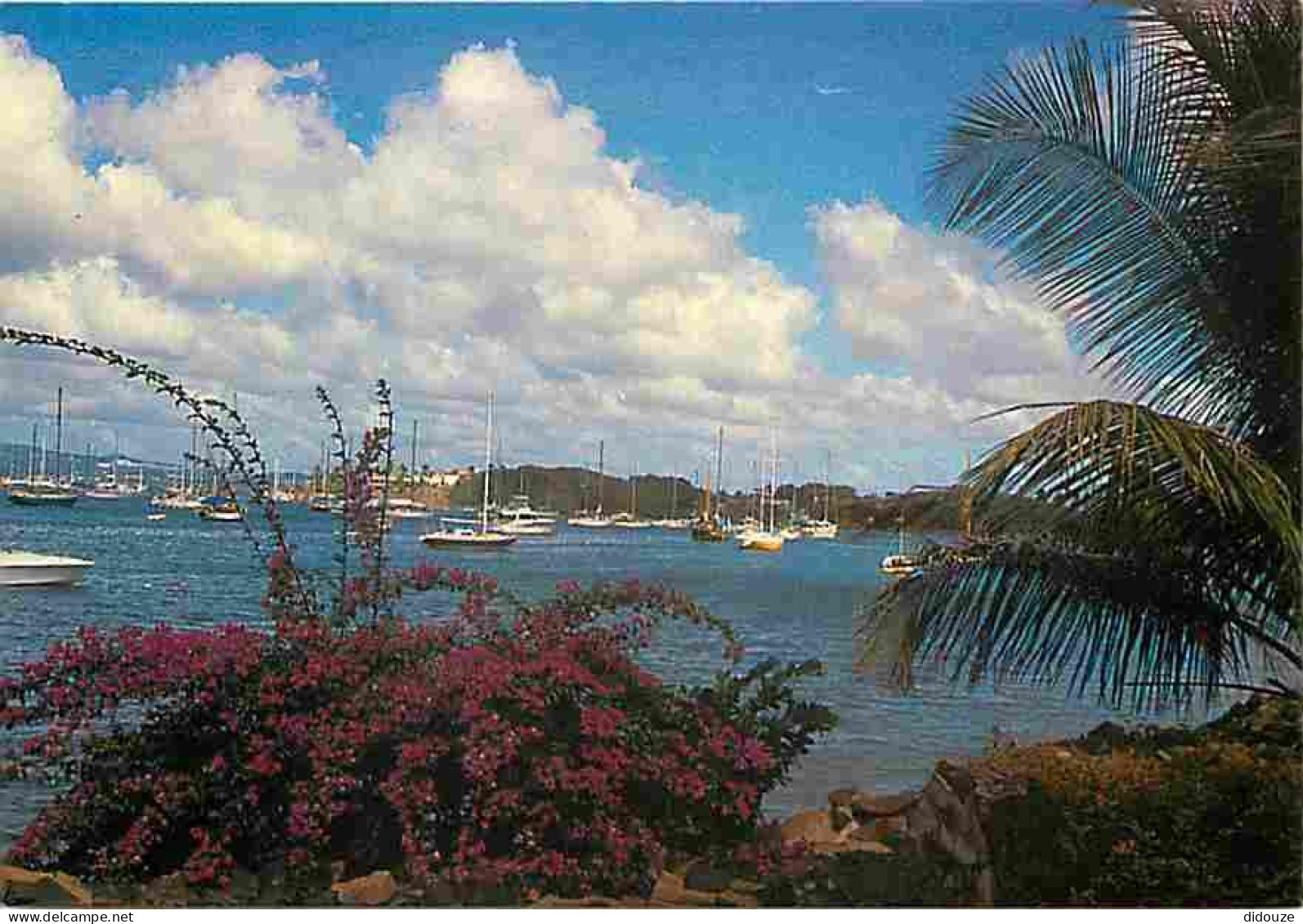 Carte Postale - Martinique - Fort de France - Paysage sur la Baie de Fort de France - CPM - Voir Scans Recto-Verso - Pos