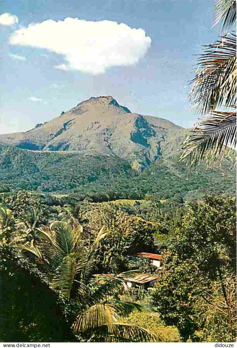 Carte Postale - Martinique - La Montagne Pelée - La Montagne Pelée vue du Morne Rouge - CPM - Voir Scans Recto-Verso - P