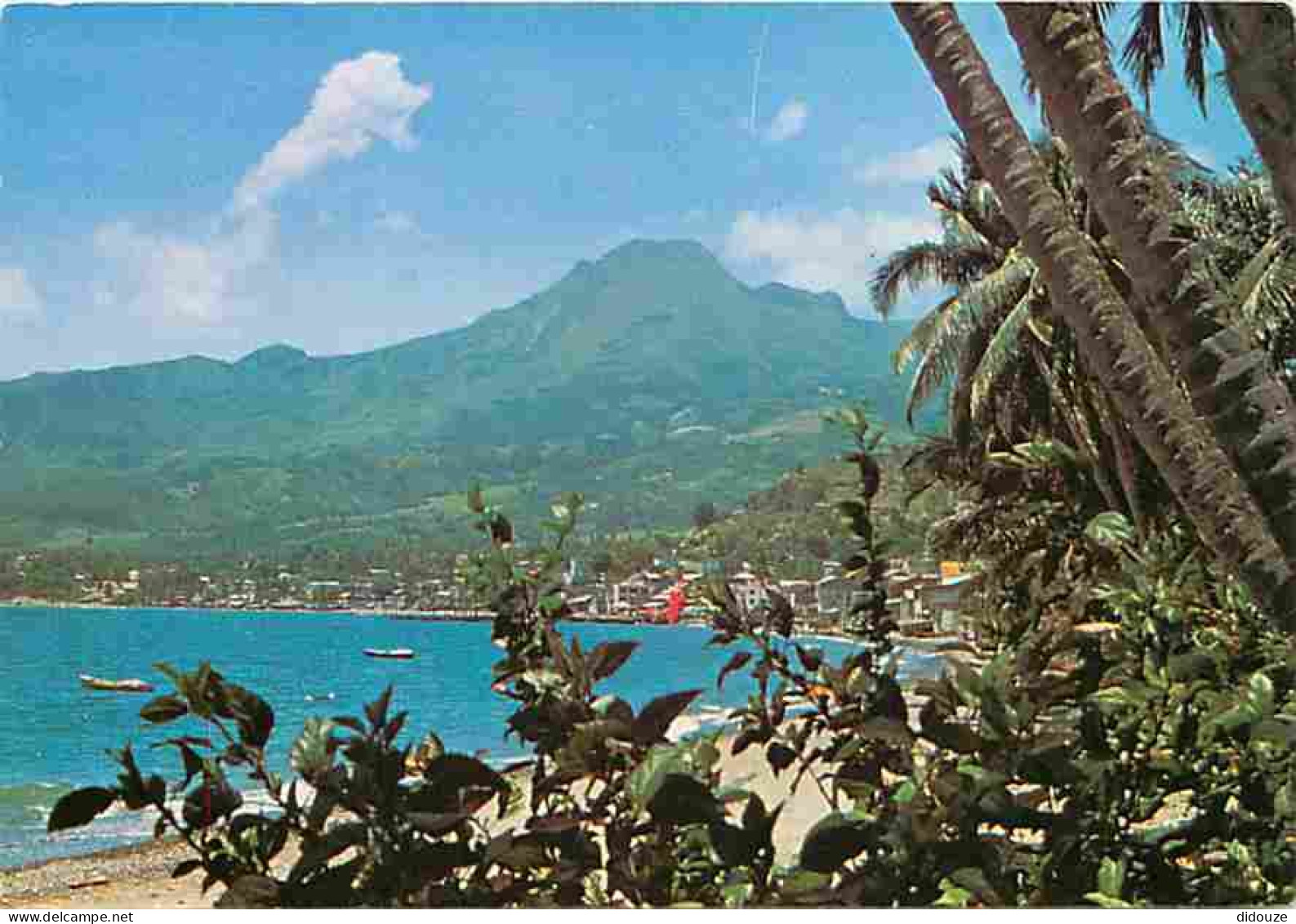 Carte Postale - Martinique - La Montagne Pelée - Saint Pierre et la Montagne Pelée - CPM - Voir Scans Recto-Verso - Posc