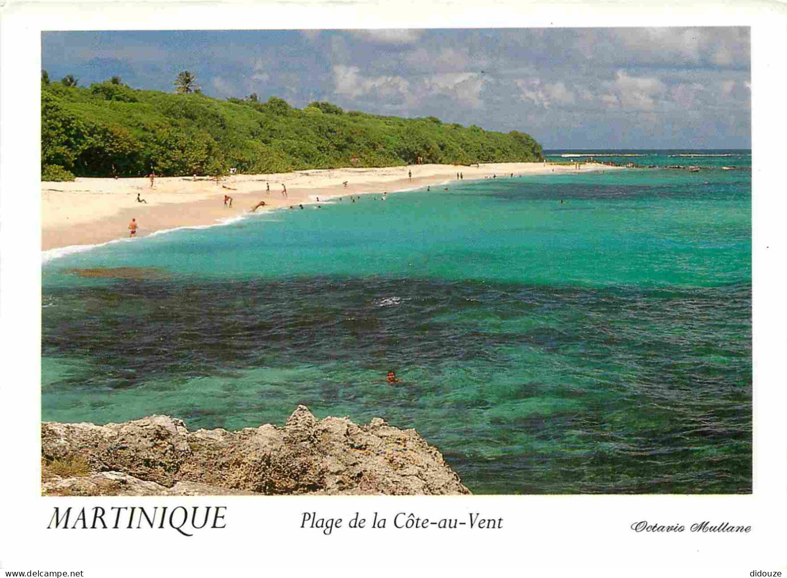 Carte Postale - Martinique - Le Marin - Le Cap Macré - Plage de la Côte-au-Vent - CPM - Voir Scans Recto-Verso - Poscard