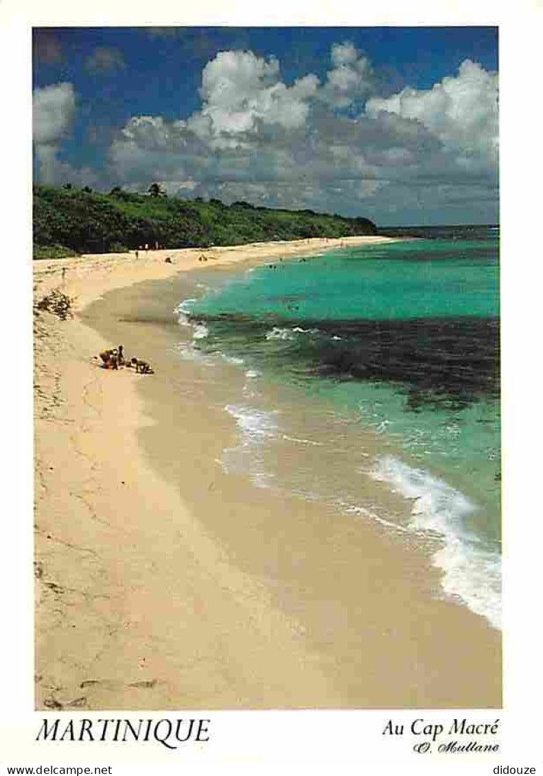 Carte Postale - Martinique - Le Marin - Plage du Cap Macré - CPM - Voir Scans Recto-Verso - Poscard - Carta Postal -  Po