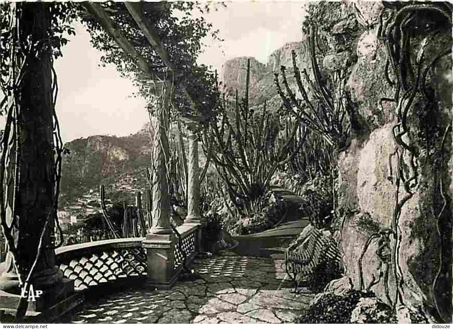 Carte Postale - Monaco - Le Jardin exotique - CPM - Voir Scans Recto-Verso - Poscard - Carta Postal -  Postkarte