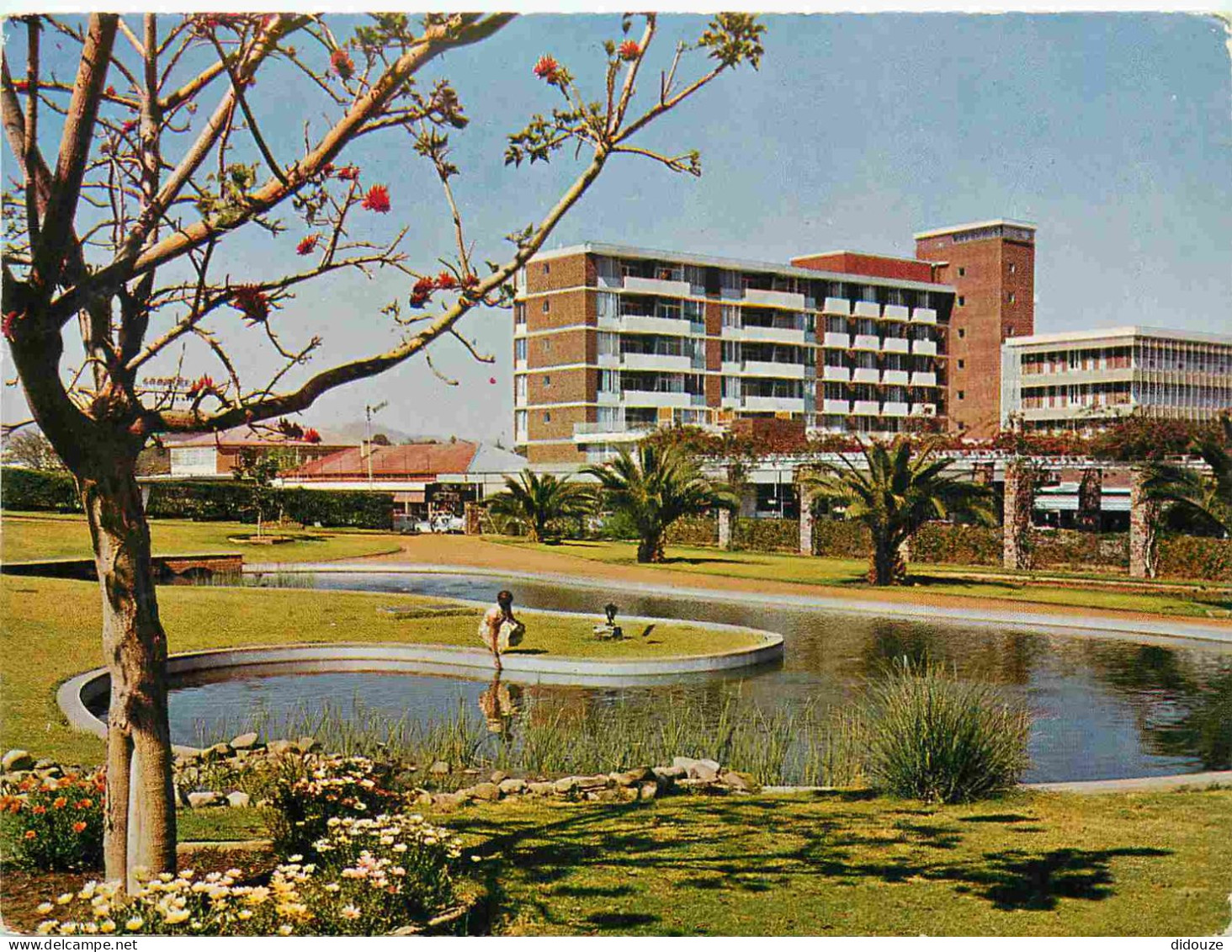 Carte Postale - Namibie - Windhoek - Zoo Park Windhoek S W A - immeubles architecture - South West Africa - CPM - Voir S