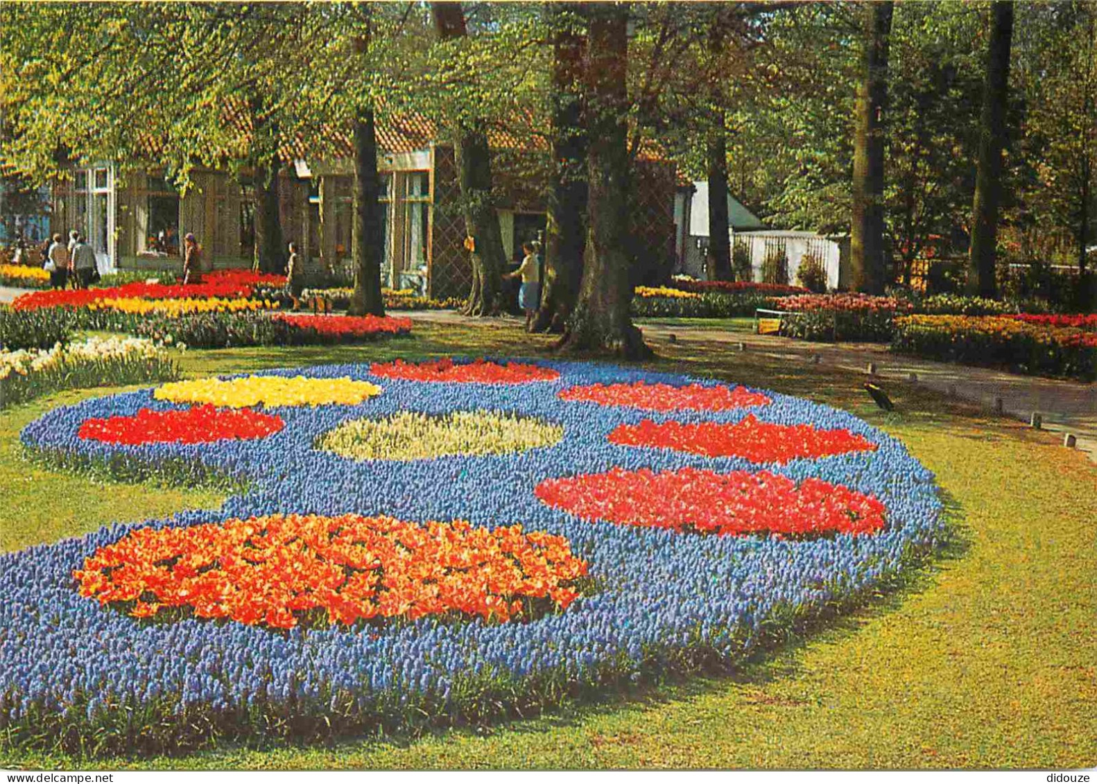 Carte Postale - Pays-Bas - Lisse - Keukenhof - Fleurs - Zuid-Holland - CPM - Voir Scans Recto-Verso