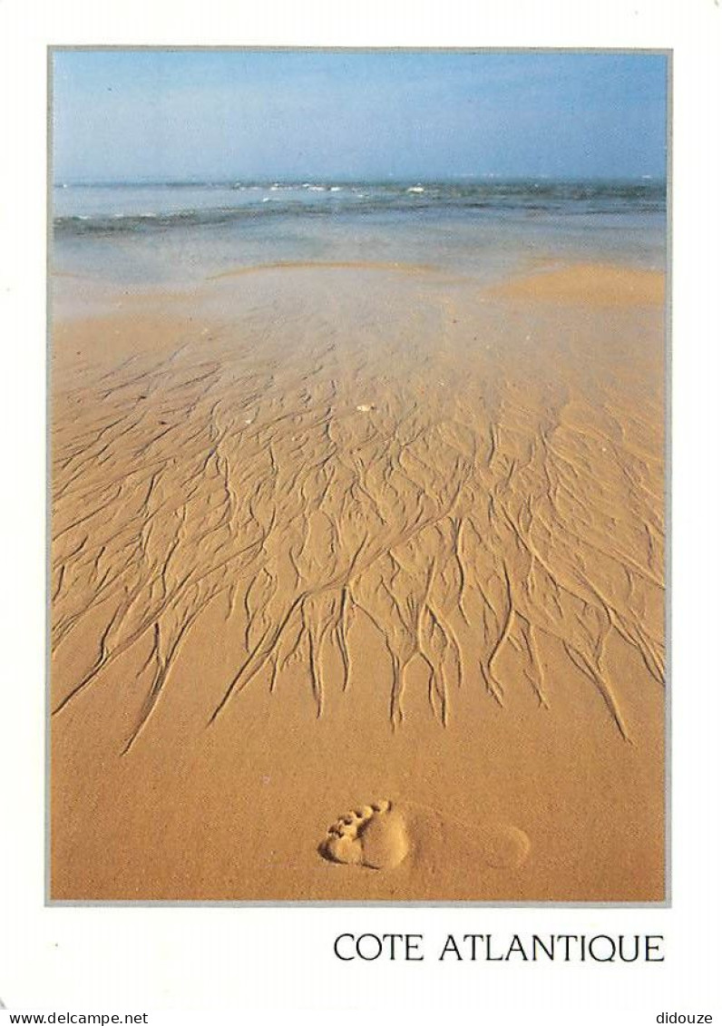 Carte Postale - Régions - Aquitaine - Cote Atlantique - CPM - Voir Scans Recto-Verso - Poscard - Carta Postal -  Postkar