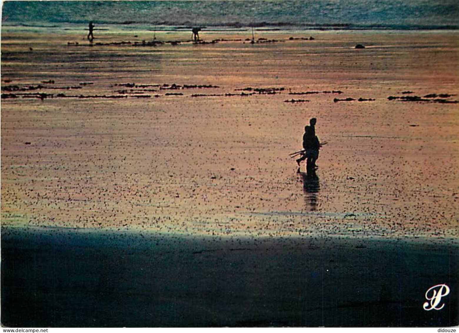 Carte Postale - Régions - Bretagne - Carte Prestige Bretagne - CPM - Voir Scans Recto-Verso - Poscard - Carta Postal -