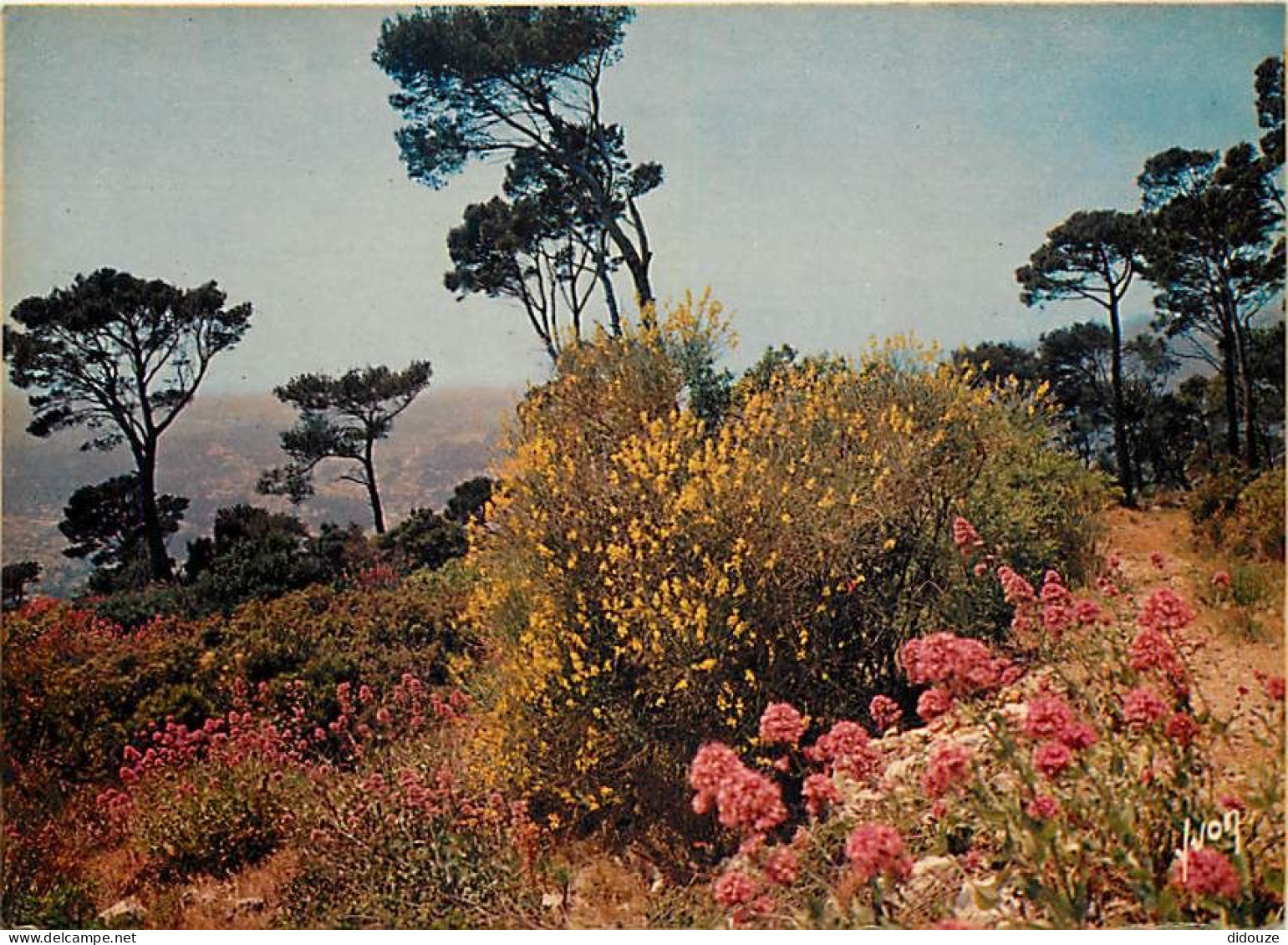 Carte Postale - Régions - Cote d'Azur - CPM - Voir Scans Recto-Verso - Poscard - Carta Postal -  Postkarte