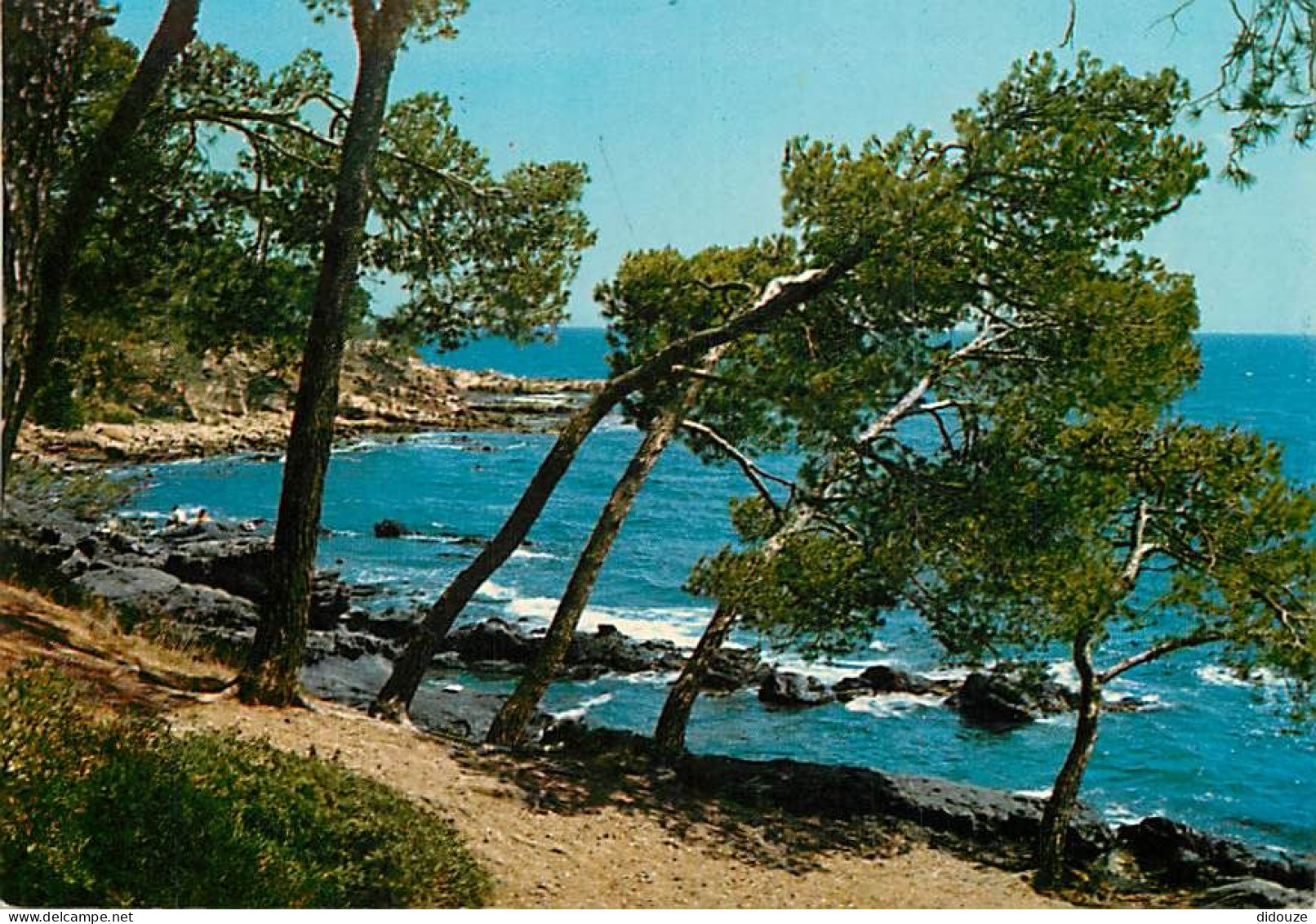 Carte Postale - Régions - Cote d'Azur - CPM - Voir Scans Recto-Verso - Poscard - Carta Postal -  Postkarte