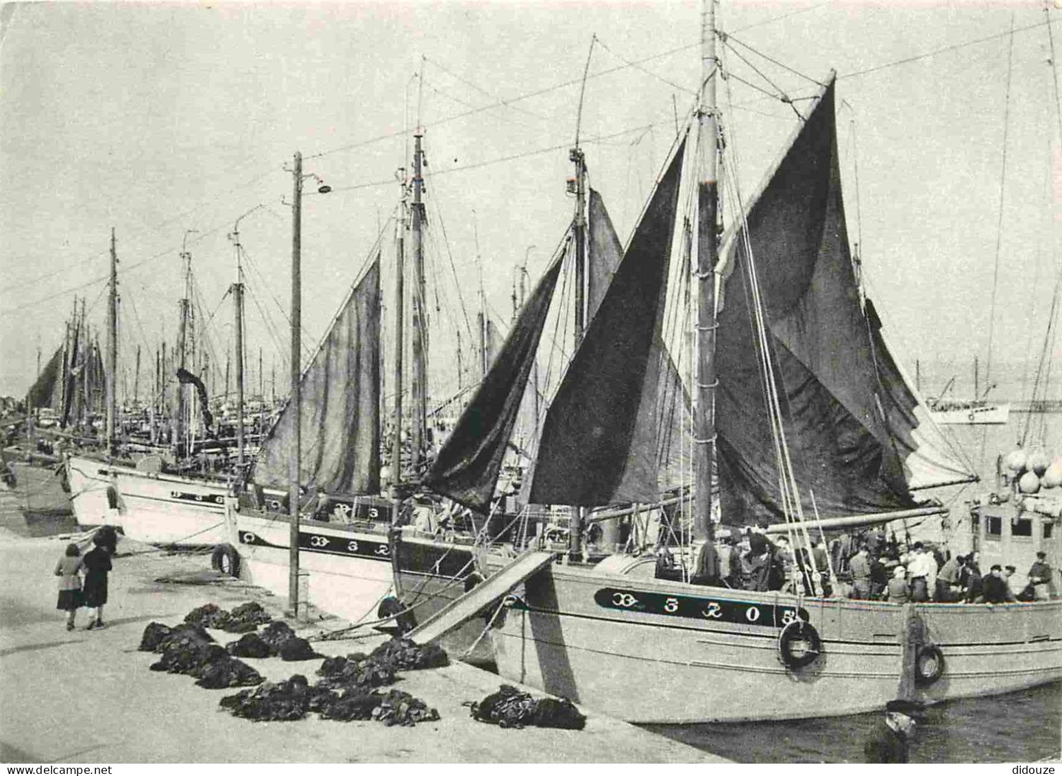 Carte Postale - Reproduction CPA - 29 Douarnenez - Le port de Douarnenez -1954 - Les malamoks à quai - Bateaux - CPM - V