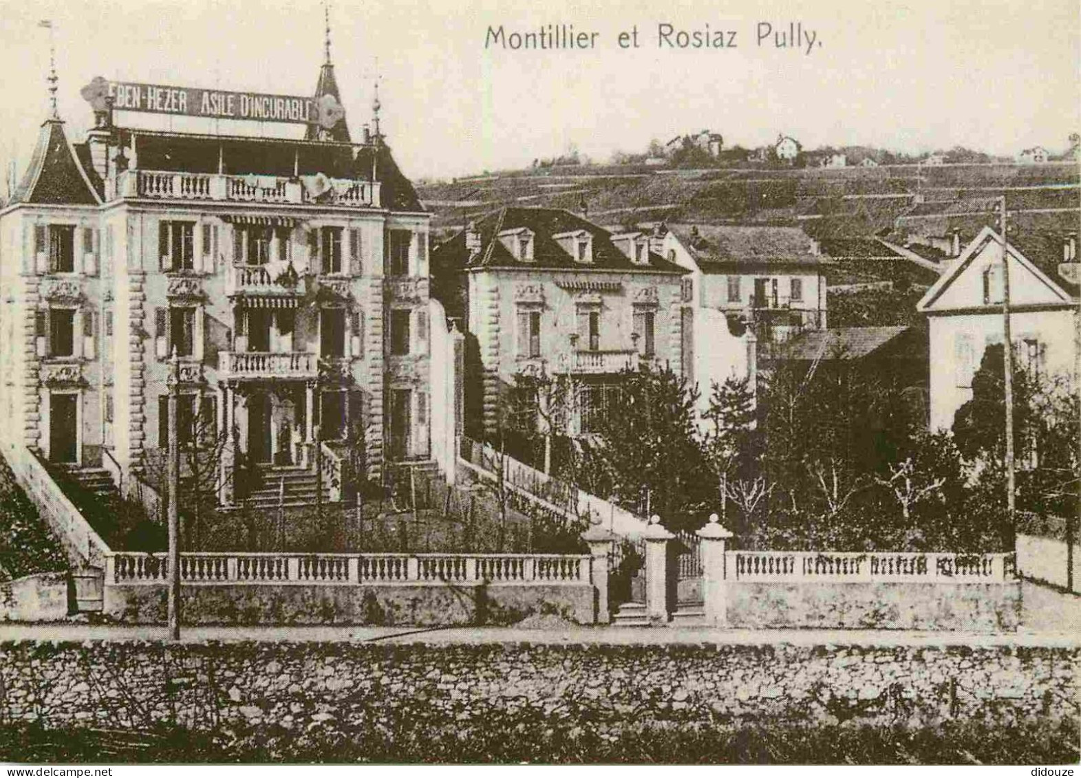 Carte Postale - Reproduction CPA - Suisse - Pully - Montillier et Rosiaz Pully - Les Communes du Cercle de Pully - CPM -