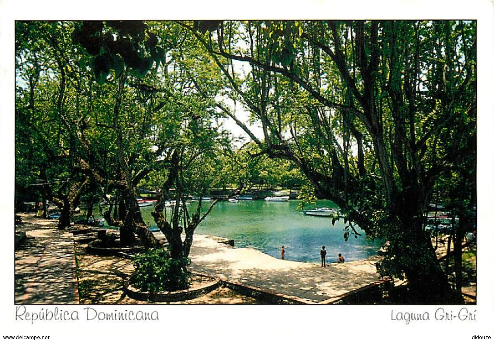 Carte Postale - République Dominicaine - Republica Dominicana - Laguna Gri-Grl - Rio San-Juan - CPM - Carte Neuve - Voir