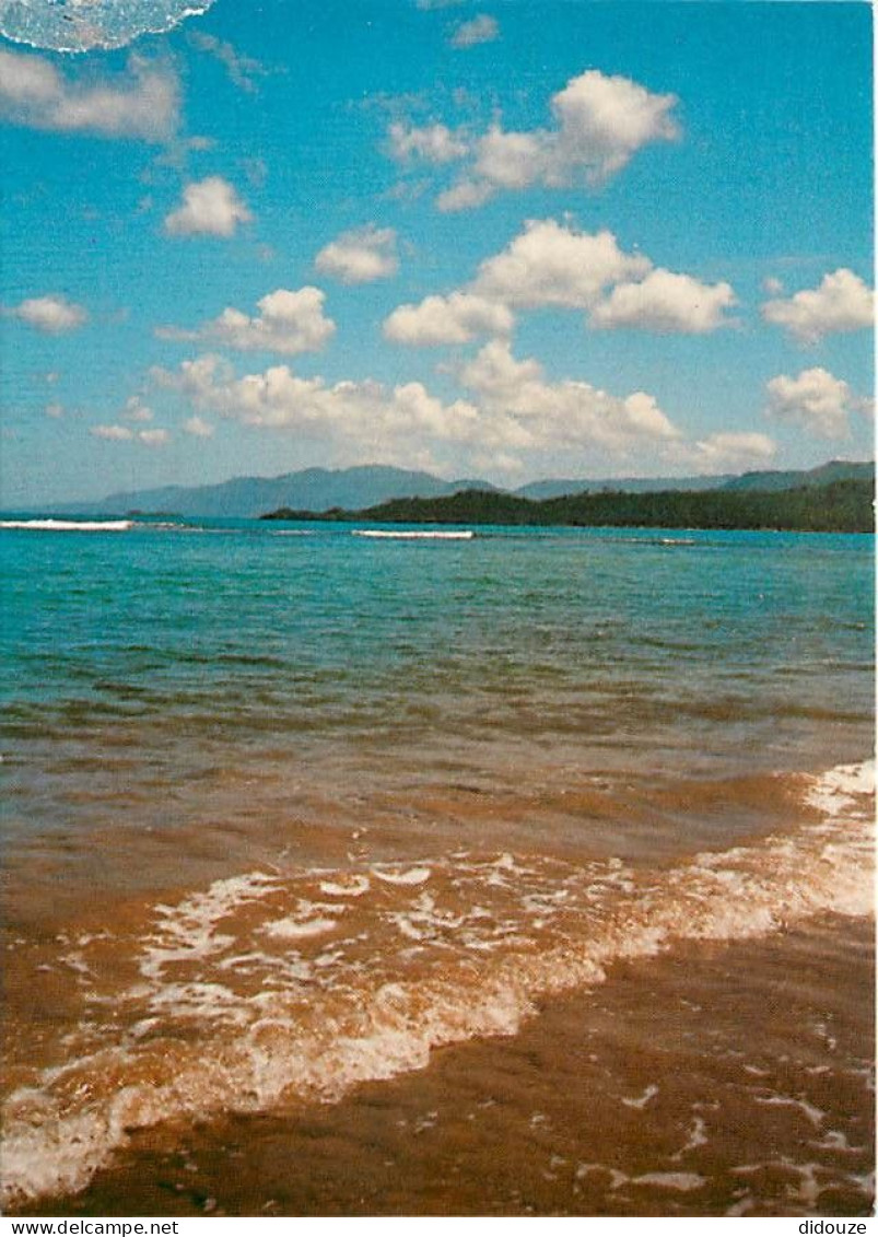 Carte Postale - République Dominicaine - Republica Dominicana - Playa de Limon - Prov Samana - Isla de Santo Domingo - C