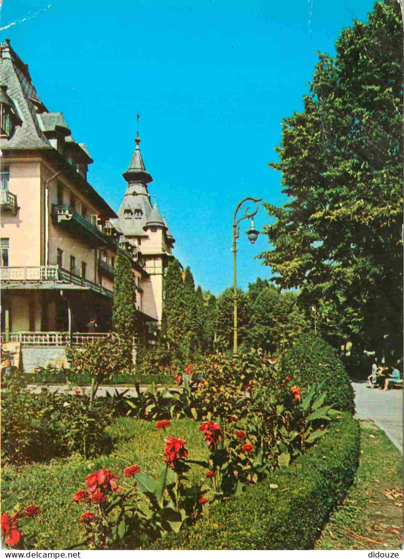 Carte Postale - Roumanie - Calimanesti - Vedere din parc - Romania - Rumania - CPM - Voir Scans Recto-Verso - Poscard -
