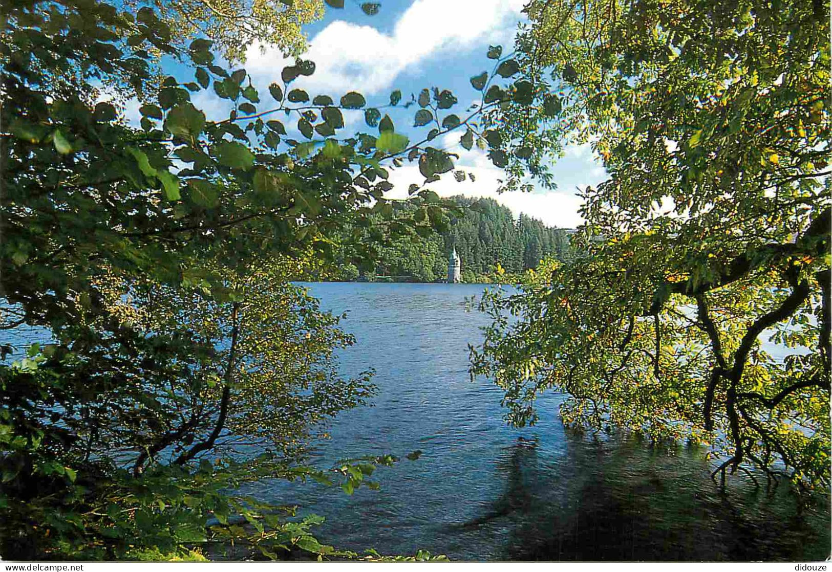 Carte Postale - Royaume-Uni - Pays de Galles - Lake vyrnwy - Llyn efyrnwy - Powys - Wales - CPM - Voir Scans Recto-Verso