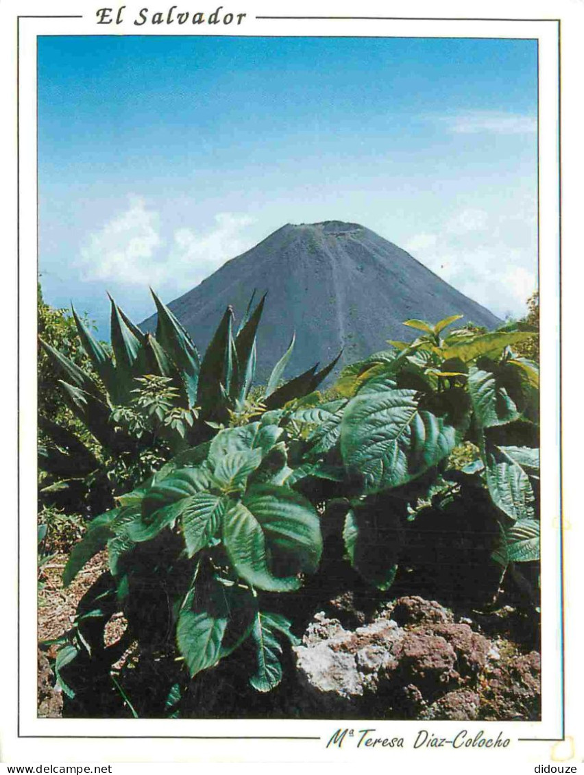 Carte Postale - Salvador - Izalco - Volcano de izalco visto desde el cerro verde izalco volcano view from cerro verde -