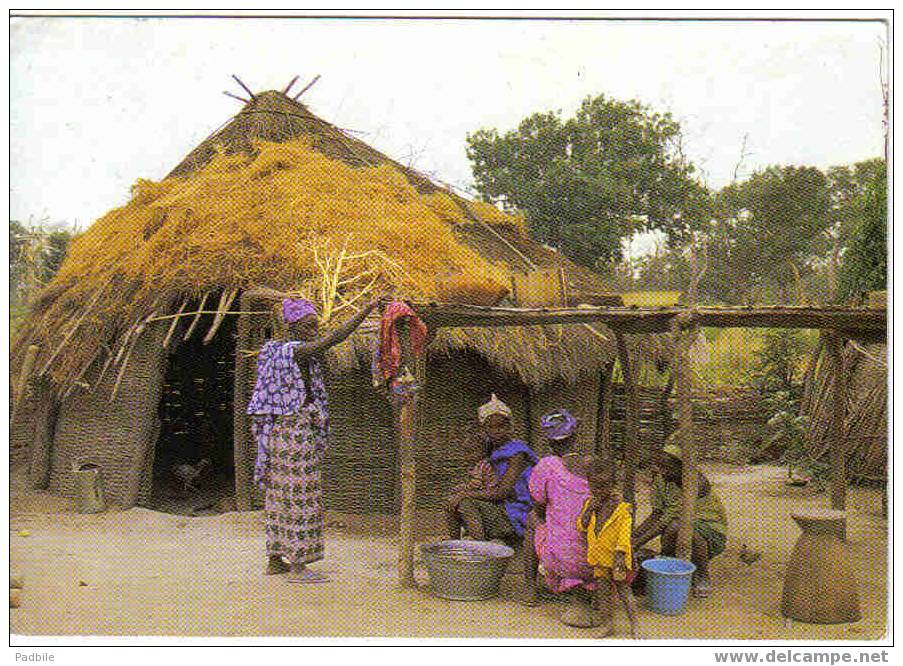 Carte Postale Sénégal Scéne villageoise