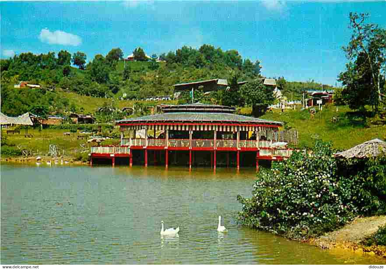 Carte Postale - Singapour - Jurong Bird Park - CPM - Voir Scans Recto-Verso - Poscard - Carta Postal -  Postkarte