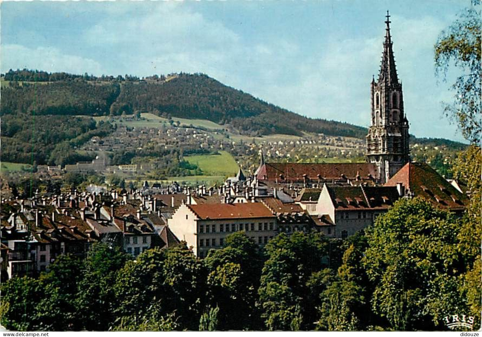 Carte Postale - Suisse - BE Berne - Berne - La Cathédrale avec Gurten - CPM - Carte Neuve - Voir Scans Recto-Verso - Pos