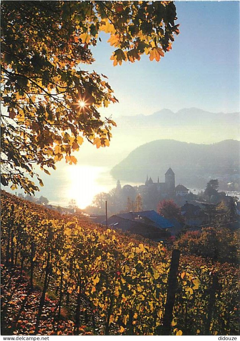 Carte Postale - Suisse - BE Berne - Spiez - Spiez et le lac de Thoune - CPM - Carte Neuve - Voir Scans Recto-Verso - Pos
