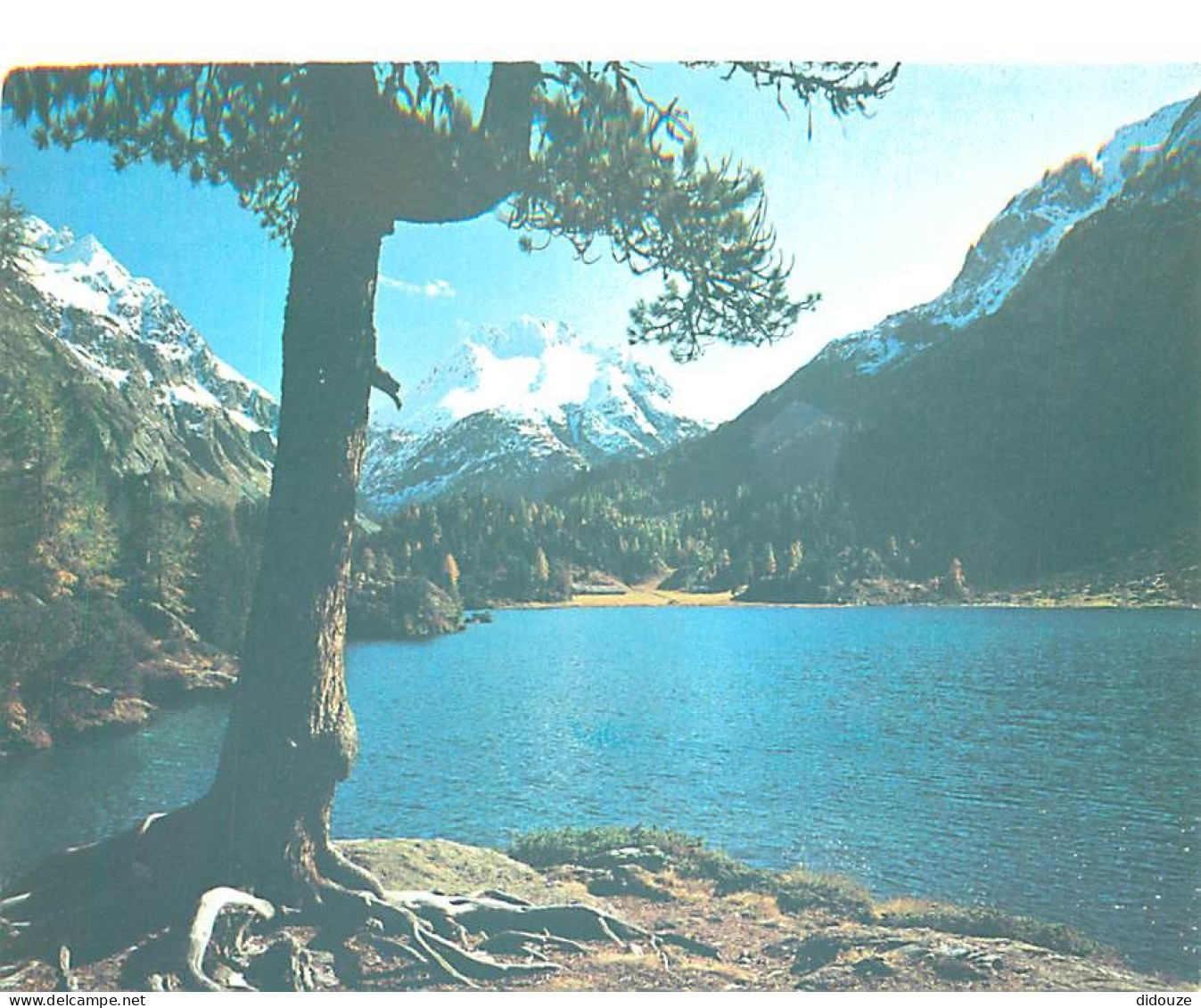 Carte Postale - Suisse - GR Grisons - Cavloce-See mit Piz dei Rossi - CPM - Carte Neuve - Voir Scans Recto-Verso - Posca