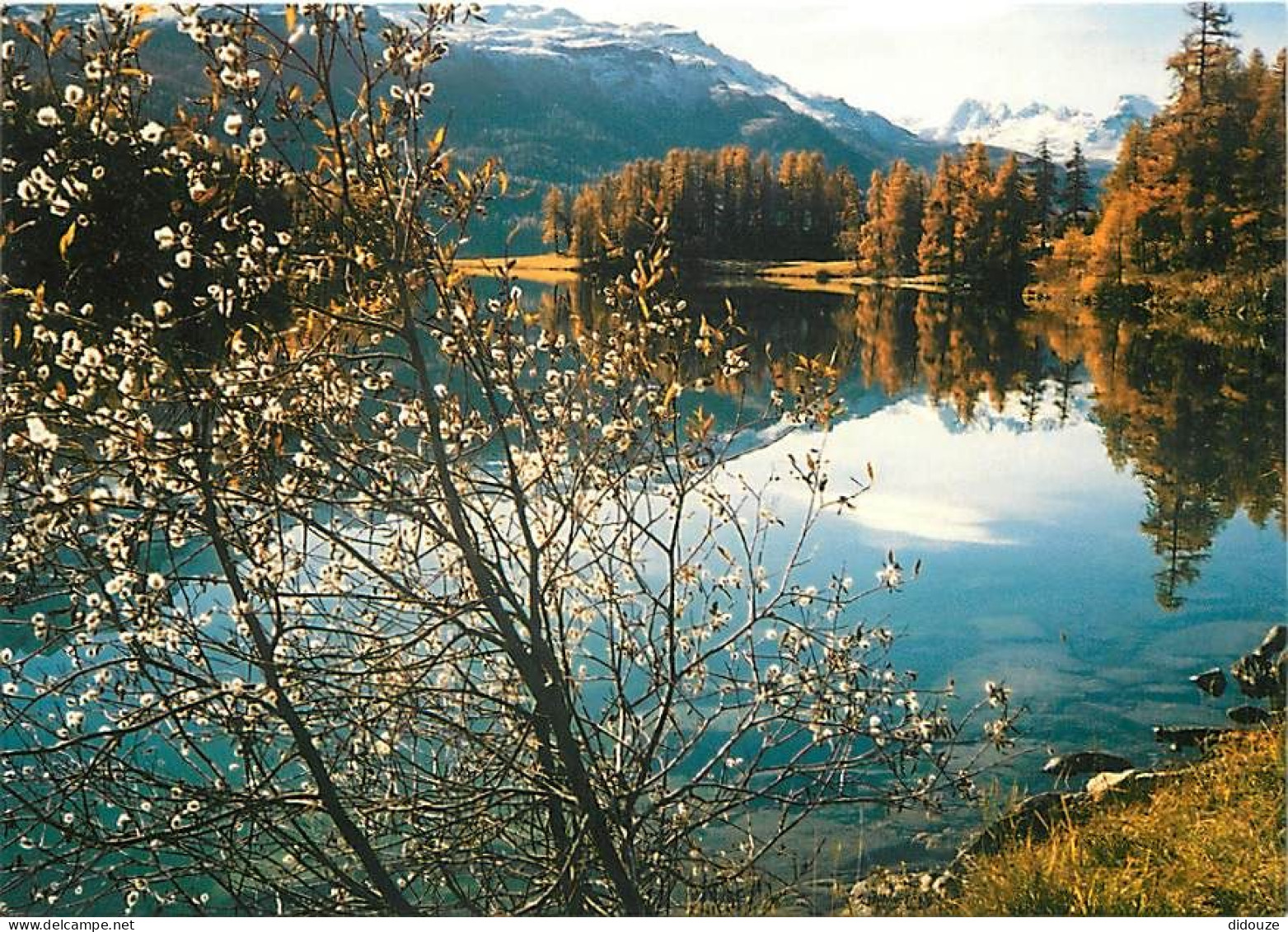 Carte Postale - Suisse - GR Grisons - Champfèrersee - CPM - Carte Neuve - Voir Scans Recto-Verso - Poscard - Carta Posta