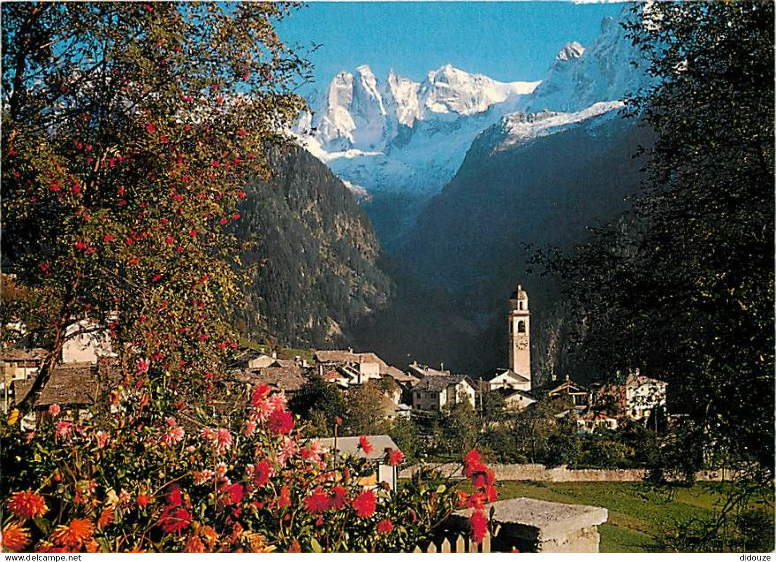 Carte Postale - Suisse - GR Grisons - Soglio 1088 m s. m. mit Sciora-Gruppe - Fleurs - CPM - Carte Neuve - Voir Scans Re