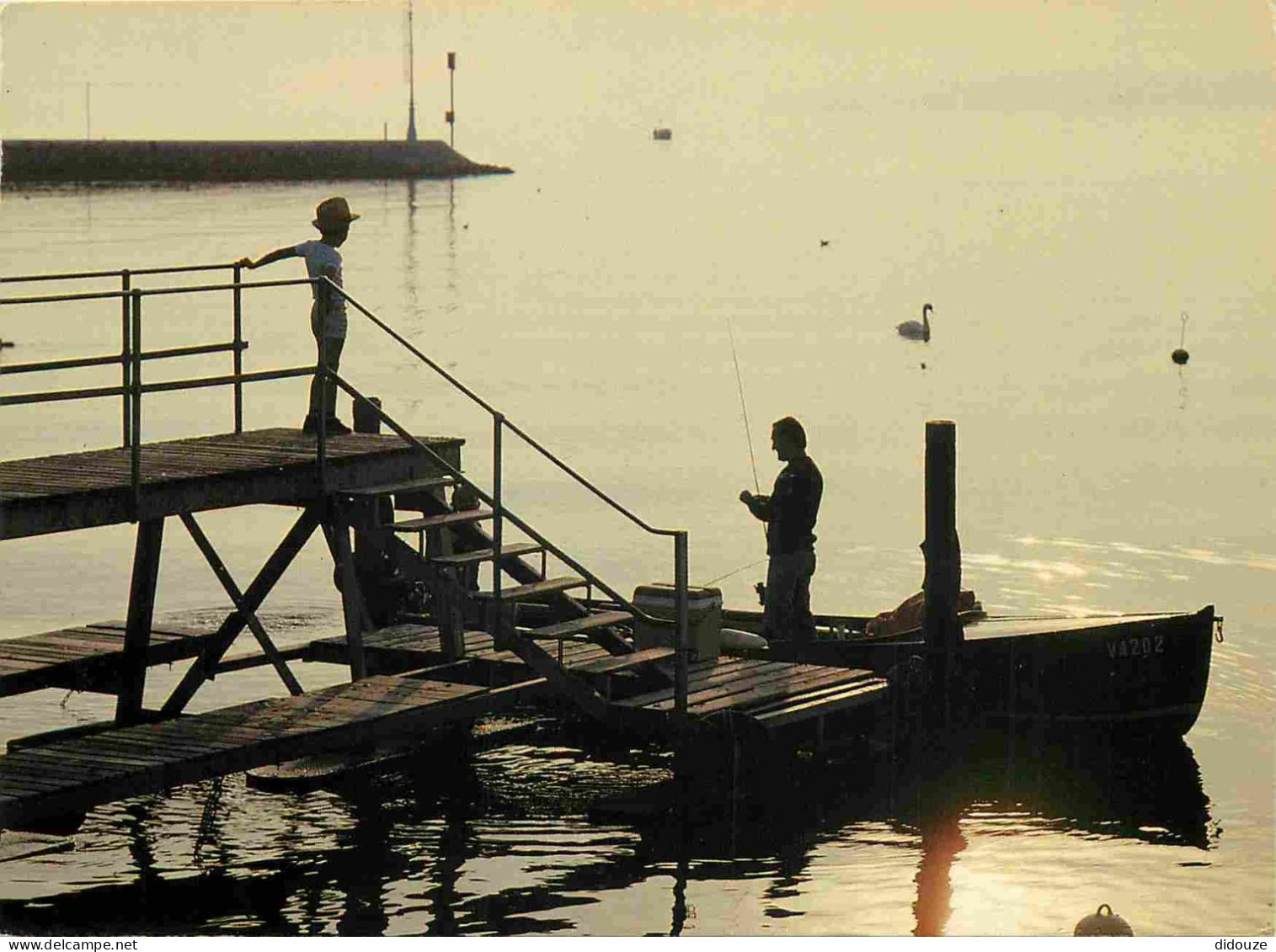 Carte Postale - Suisse - Nyon - Première touche - Peche sur le lac - Vaud - CPM - Voir Scans Recto-Verso