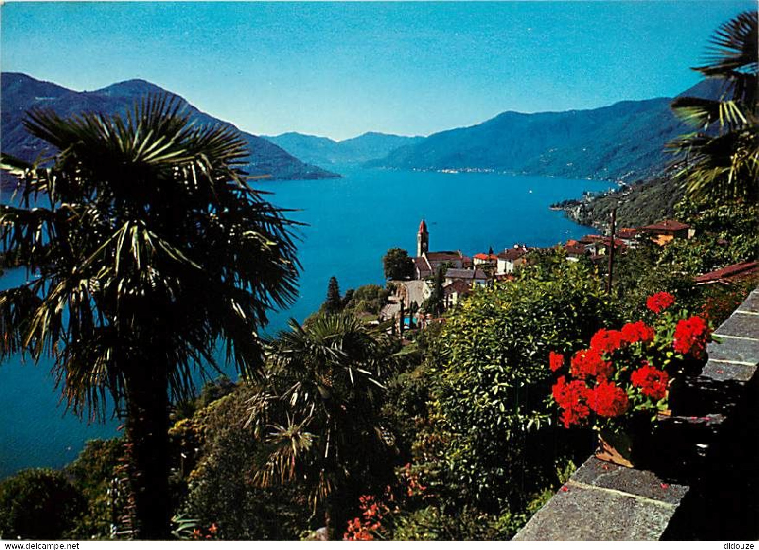 Carte Postale - Suisse - TI Tessin - Lago Maggiore Ronco s. Ascona - CPM - Carte Neuve - Voir Scans Recto-Verso - Poscar