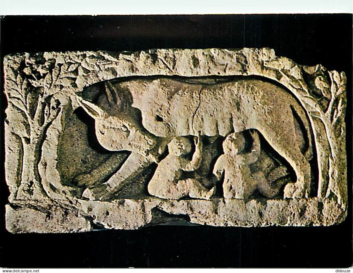 Carte Postale - Suisse - VD Vaud - Aventicum ( Avenches ) - La Louve romaine allaitant Romulus et Rémus - Antiquité - CP