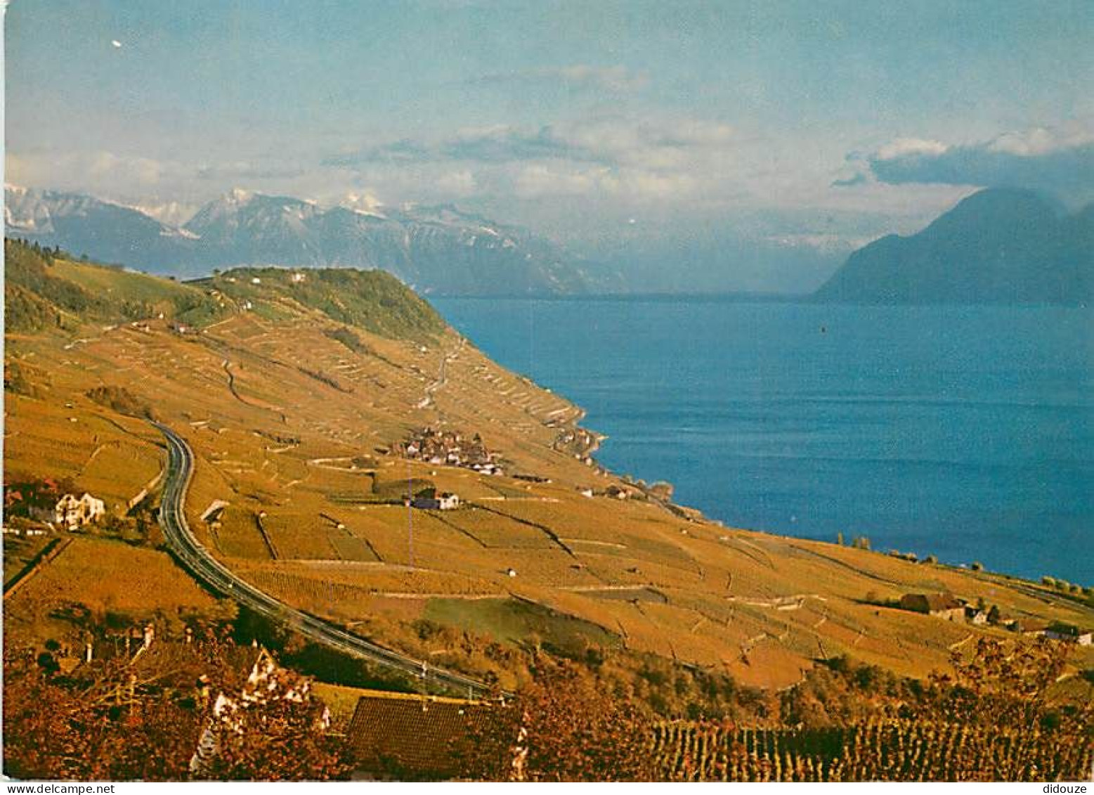 Carte Postale - Suisse - VD Vaud - Coteau de Lavaux - Vue aérienne - CPM - Carte Neuve - Voir Scans Recto-Verso - Poscar