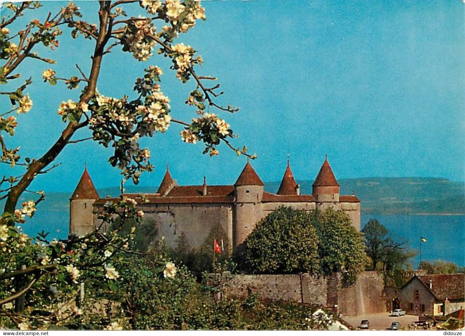 Carte Postale - Suisse - VD Vaud - Grandson - Lac de Neuchâtel - Château historique et musée autos - CPM - Carte Neuve -