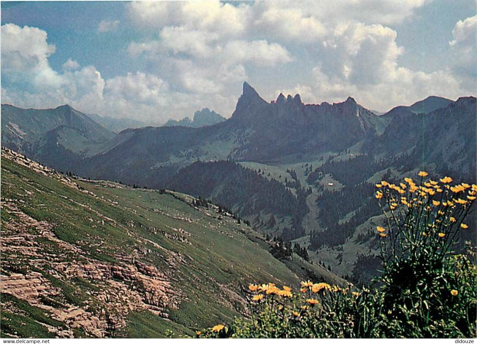 Carte Postale - Suisse - VD Vaud - La Pierreuse - CPM - Carte Neuve - Voir Scans Recto-Verso - Poscard - Carta Postal -