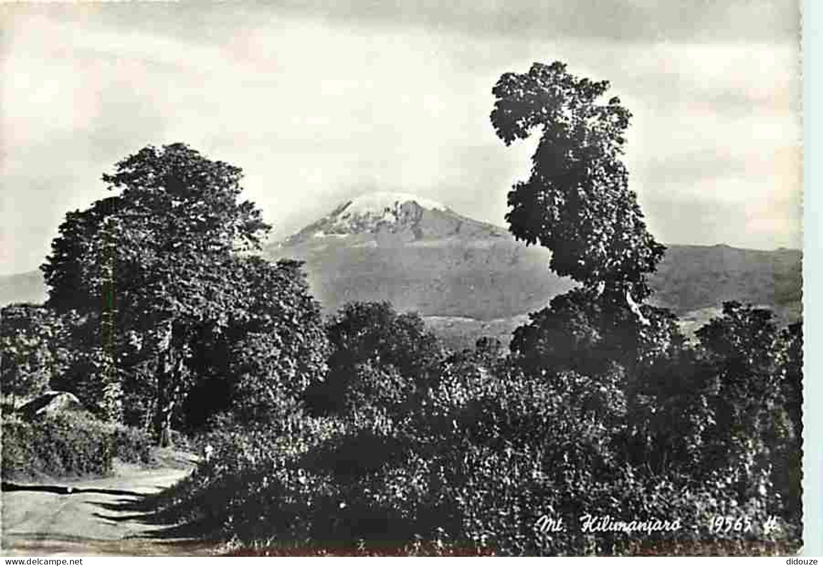 Carte Postale - Tanzanie - Mont Kilimandjaro - Carte Neuve - CPM - Voir Scans Recto-Verso - Poscard - Carta Postal -  Po