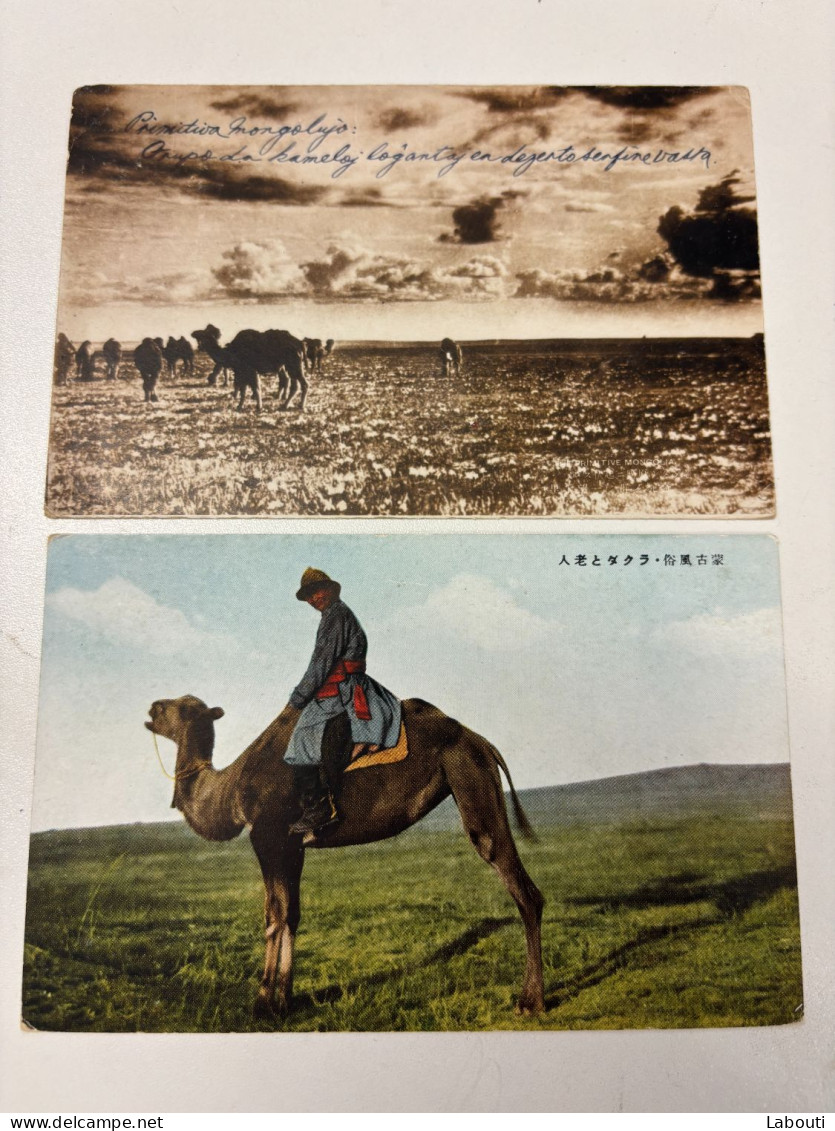 Cartes postales Chine Mongolie
