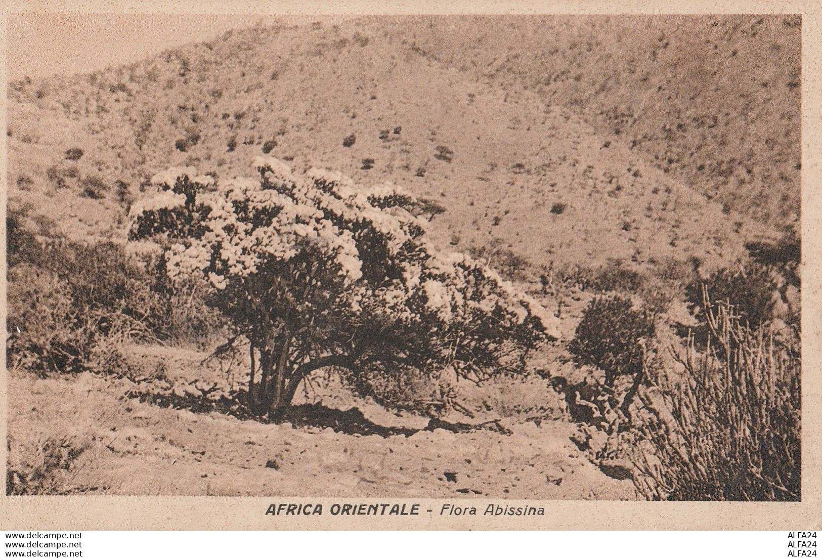 CARTOLINA AFRICA ORIENTALE ETIOPIA (RY7116