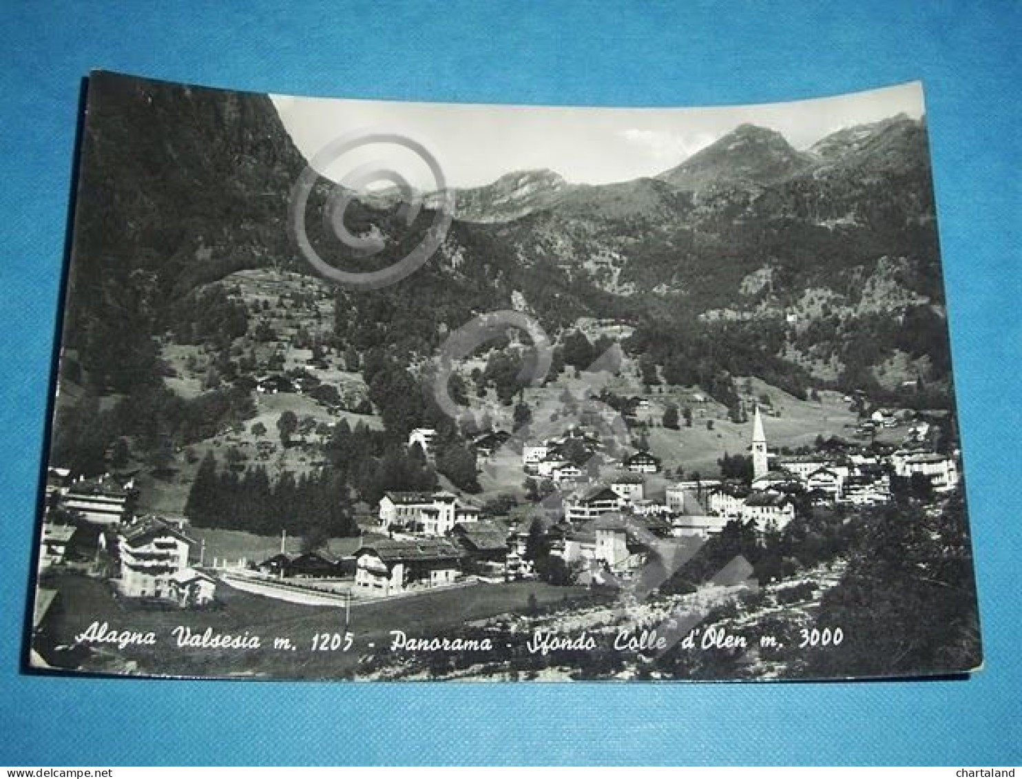 Cartolina Alagna Valsesia Panorama  e Colle d' Olen '57