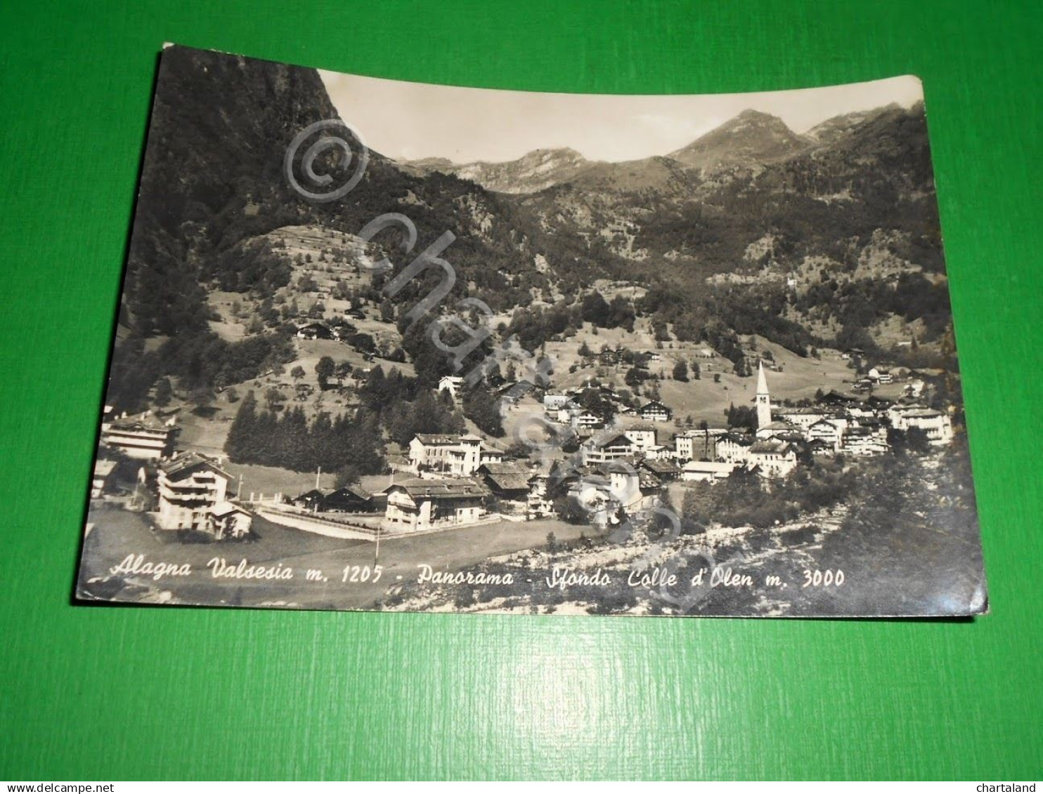 Cartolina Alagna Valsesia - Panorama - Sfondo Colle d' Olen 1950 ca